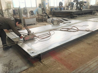 Changzhou Skyerscale Co.,Limited কারখানা উত্পাদন লাইন