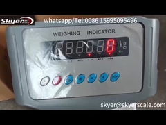 ডিজিটাল ওজন নির্দেশক