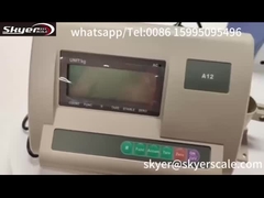 ডিজিটাল ওজন নির্দেশক