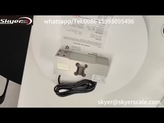 শিল্প ওজন প্ল্যাটফর্ম বেঞ্চ স্কেল জন্য ZEMIC L6G 500kg লোড সেন্সর সেল