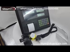 ডিজিটাল ওজন নির্দেশক