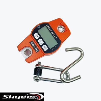 গুণ  300kg Digital Crane Scale with LED LCD Display কারখানা