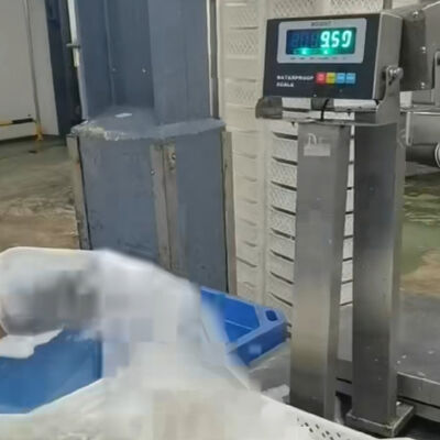 30x40cm 304 স্টেইনলেস স্টিল জলরোধী বেঞ্চ স্কেল   100 কেজি